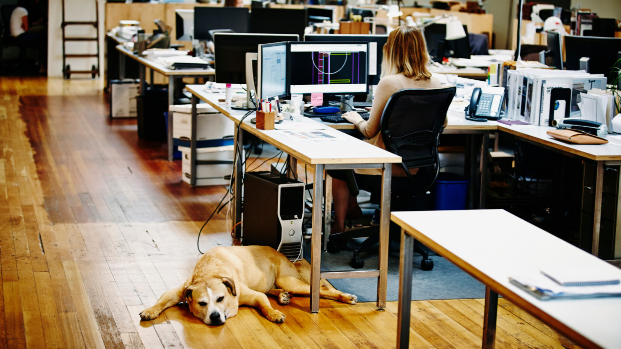 Egyre gyakoribb lehet a home office a magyar munkahelyeken: nagyon nyögik a rezsit a cégek